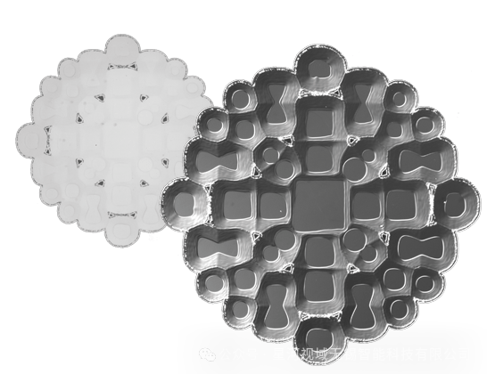 Sensofar S neox 多技术3D光学轮廓仪